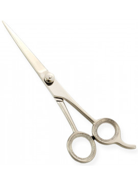 Razor Edge Hair Dressing Scissors